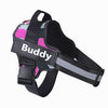 Personalized No-Pull Reflective Comfort Dog Harness
