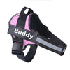 Personalized No-Pull Reflective Comfort Dog Harness