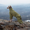AllWeather Full-Body Dog Suit (Warm & Protective Coverall)