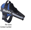 Personalized No-Pull Reflective Comfort Dog Harness