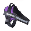 Personalized No-Pull Reflective Comfort Dog Harness