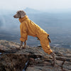 AllWeather Full-Body Dog Suit (Warm & Protective Coverall)