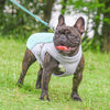 StormShield Waterproof Dog Jacket