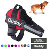 Personalized No-Pull Reflective Comfort Dog Harness